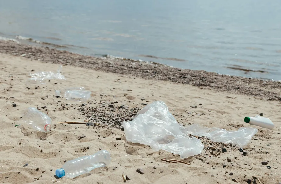 Plast i havet – ett växande hot mot djur och natur
