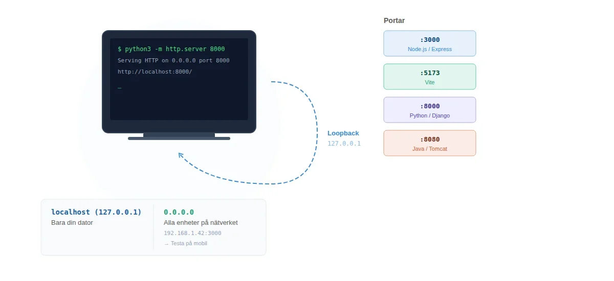 Terminal med lokal server på localhost, loopback-illustration och portnummer för olika ramverk
