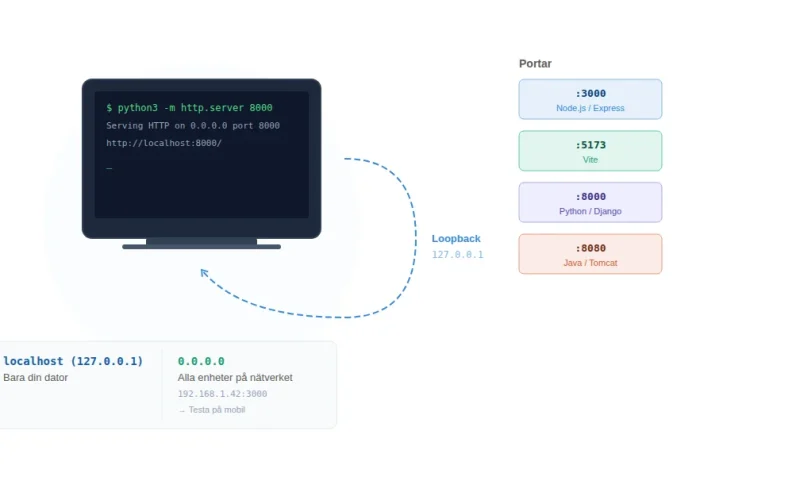 Terminal med lokal server på localhost, loopback-illustration och portnummer för olika ramverk